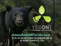 Vote Yes on 4: Amendment4Florida.com