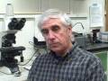 videos de DC TALU and Antidegradation and High Quality Waters