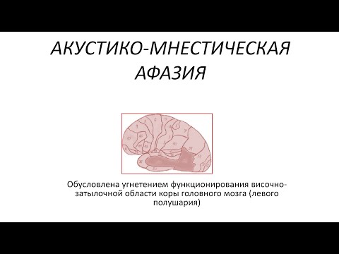 Коррекция при акустико-мнестической афазии Коррекция при акустико-мнестической афазии