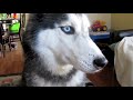 Mishka says 