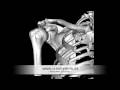 videos de Anatomie / Aufbau der Schulter