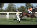 Weetabix Advert - Steeplechase