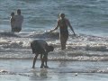 ARREMANGALA Y ARREMPUJALA