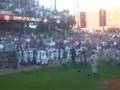 Peoria Chiefs vs Dayton Dragons Fight (Fan Video)