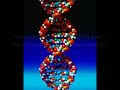 Light Body Development and DNA
