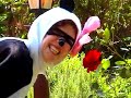 Pandas Day Out