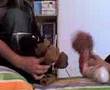 Marcus-Mosqueperro