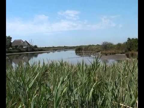 scorci - La cittadina di Marano Lagunare (Udine) possiede da sempre ed ancora oggi una relazione privilegiata con l'ambiente lagunare nel quale si trova inserita: la ...