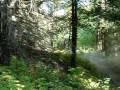 videos de Skip Keeley