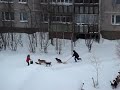 Дворник лучший друг человека