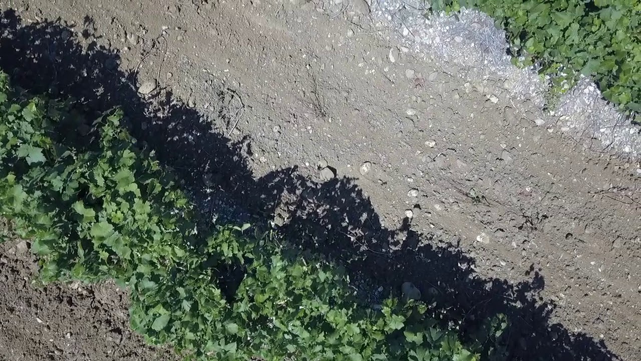 Le domaine et l’équipe