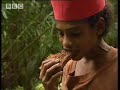 Importance of the Sago Tree - Ray Mears World of Survival - BBC
