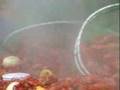 250# crawfish boil