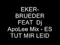 ekerbrueder-feat-dj-apolee-mix-es-tut-mir-leid.html