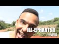 GANGSTER AFRICAN WILDLIFE!!!!! #WUA in Kenya ep. 7
