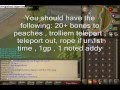 videos de (rsmv) Avansies Guide 800K+/1Hr