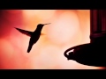 Genetic Bros - Uplifting