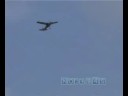 CESSNA 3845