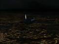 Air Disasters - American Airlines Flight 1420