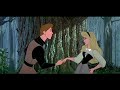 a disney princess tribute