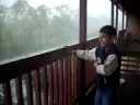 hurricane dolly