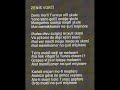 Erdal Bayrakoglu - Zenis Vorti
