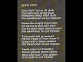 Erdal Bayrakoglu - Zenis Vorti