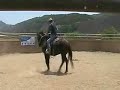 mustang for the extreme challange to be held in fort worth tx .sept 21 first ride