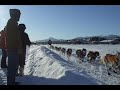 Yukon Quest 2007 Yukon Quest 2007