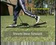 How Cat ski work