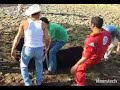 montas de practica 2