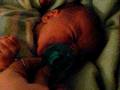 Layne - 2 weeks old