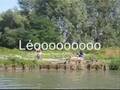 Water Jump summer 08