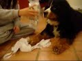 Popcorn\