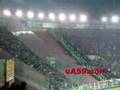sampiyon fener en b�y�k fener   *