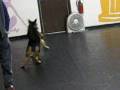 videos de MaxiSnow 003.avi