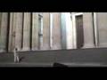 EuroTrip 8 - Bird Woman 