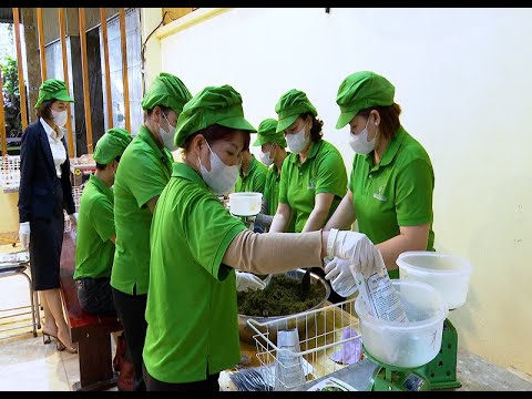 Phát triển cây Dược liệu theo hướng hàng hóa