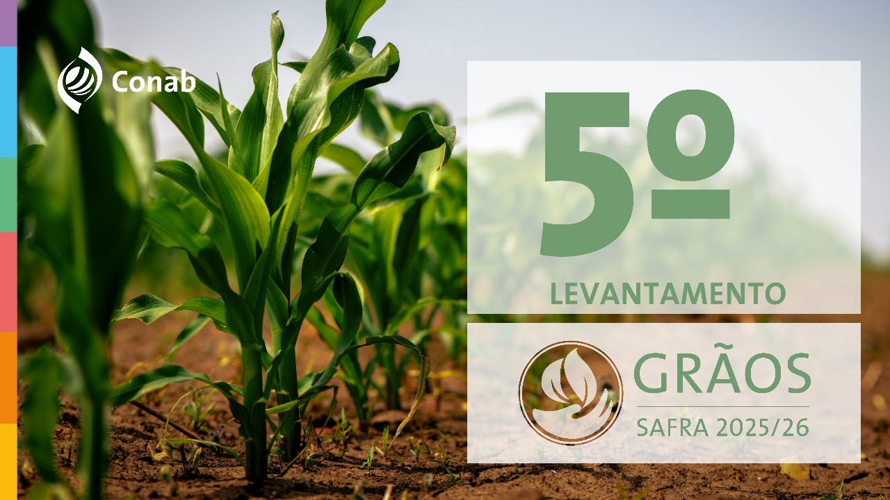 5º Levantamento da Safra de Grãos 2025/2026