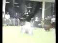 Jee - bodymoving (BB cover)