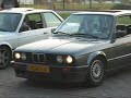 Dennis and Vincent both with their 300hp BMW E30