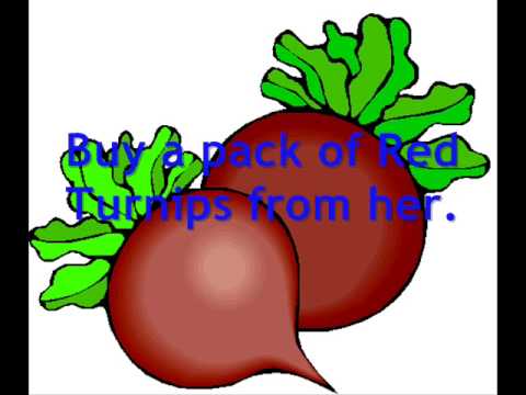 how to grow a turnip in animal crossing ds