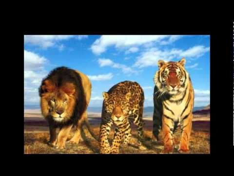 sher punjabi new song 2012 new album oh kudi