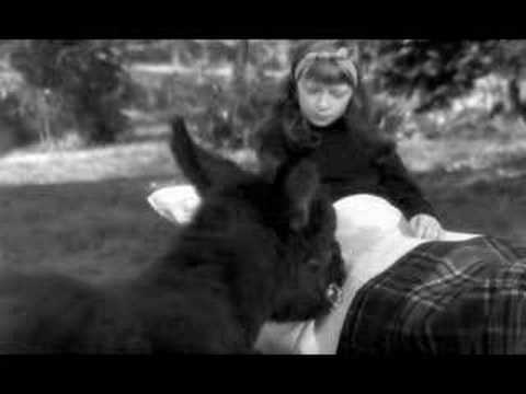 Image de prévisualisation YouTube