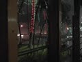 ホノルルにてスコール