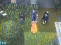 Runescape fly dancers