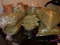 Cellski - 4:20 Cellski - 4:20
