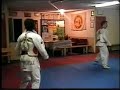 N� 19 Taekwondo Musotokwan Chile - Villa Alemana 2008.