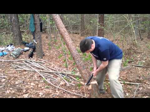 Survival Vlog #10