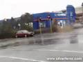 Severe Weather - Tree Falling Nelson, New Zealand